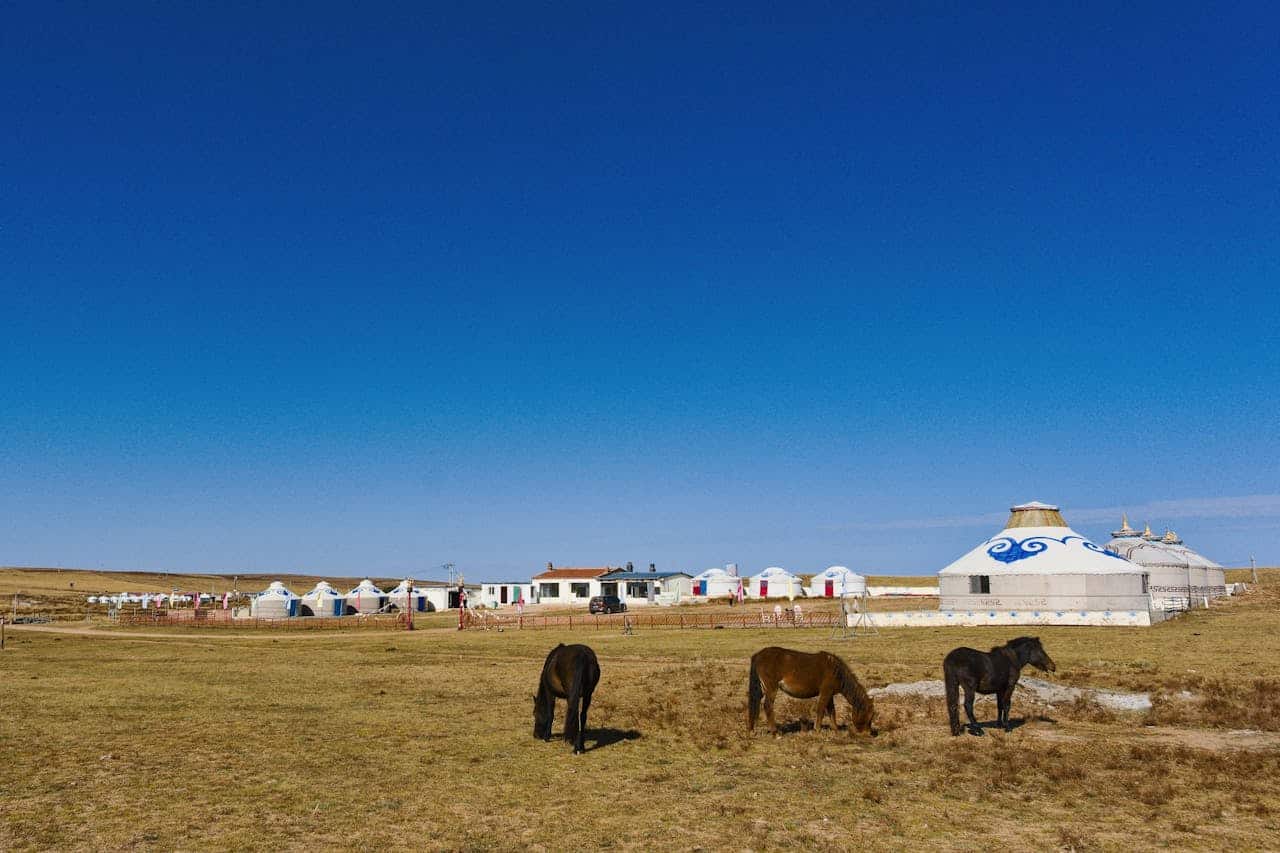 Wide scenic view of Inner Mongolia grasslands with traditional yurts, grazing horses, and open plains under a clear blue sky.